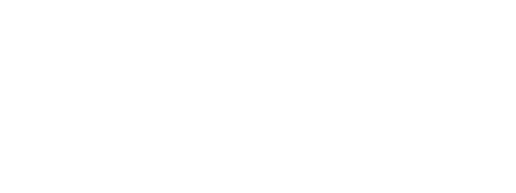Wildpack Studio